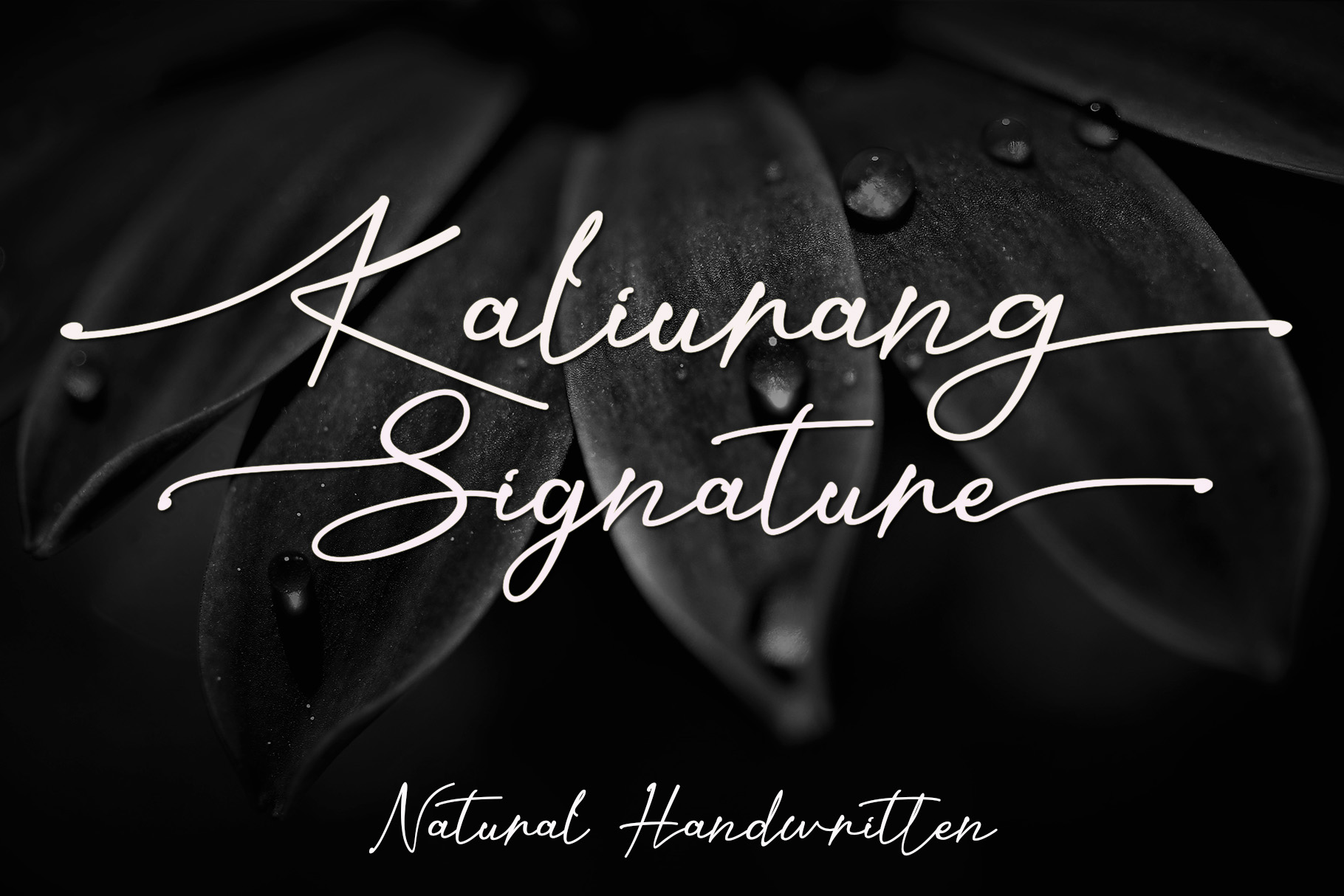 Kaliurang Signature - Personal